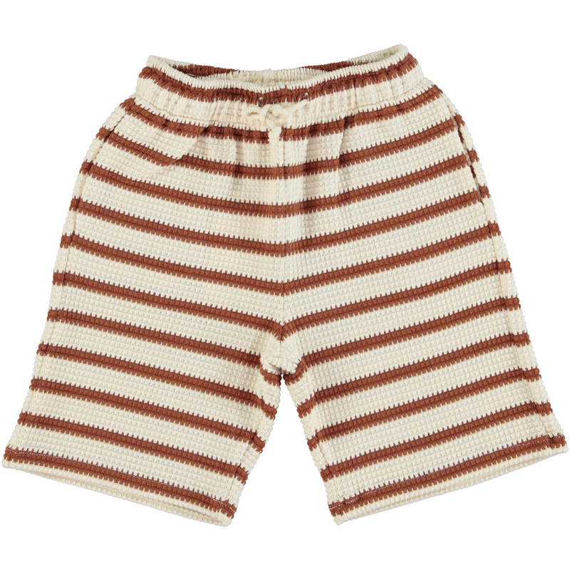 Arthur Shorts-4years