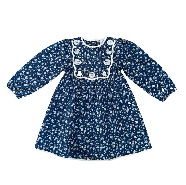 Amari Special Dress