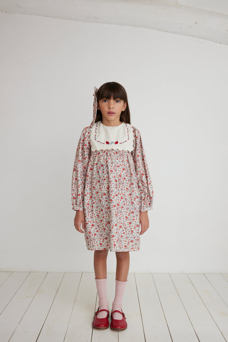 Clementine Dress