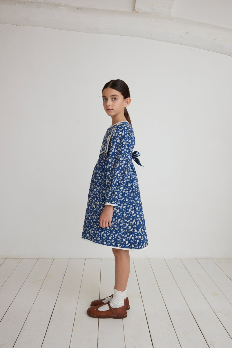 Amari Dress