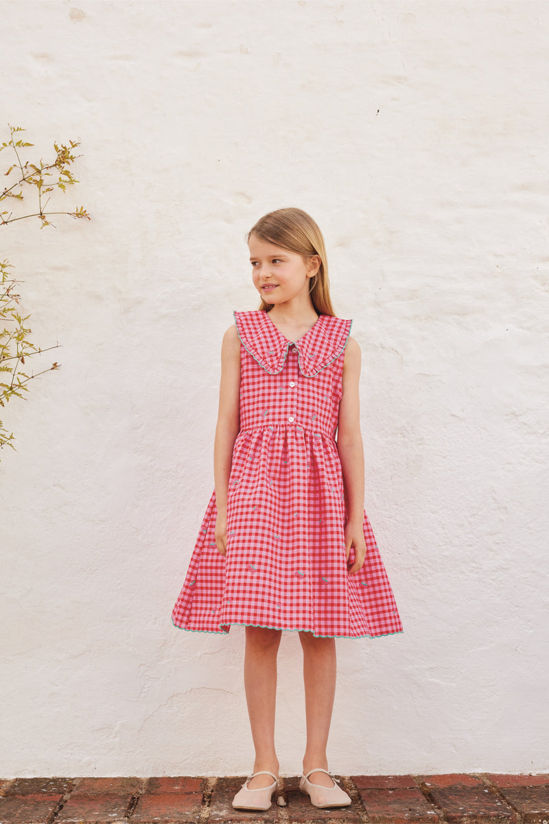 Alisa Dress