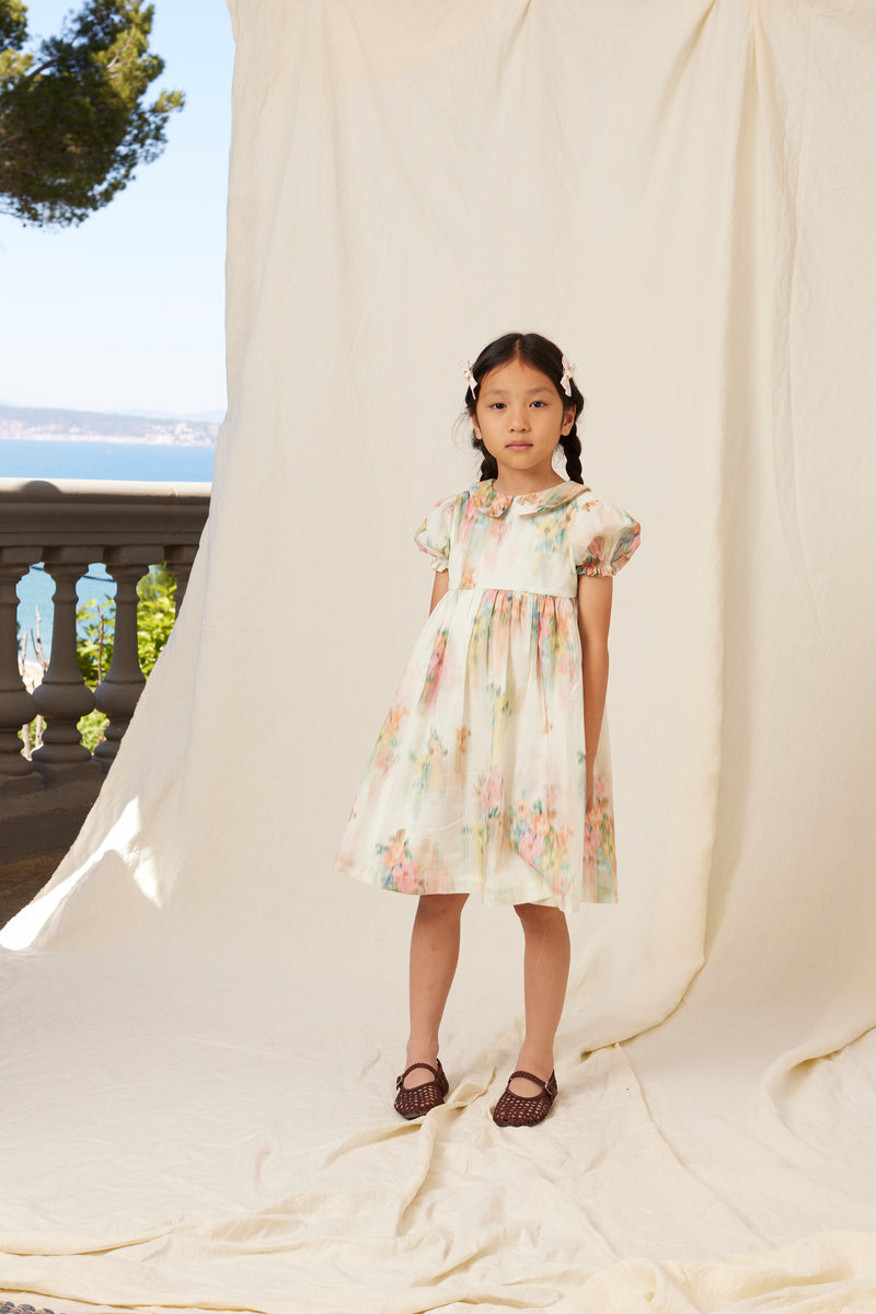 Paris Dress – Bebe Organic