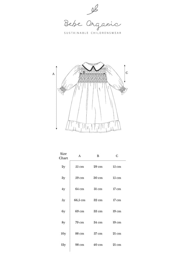 Elora Special Dress
