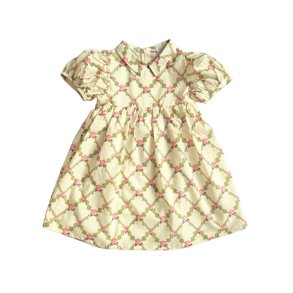 Sophia Rose Dress
