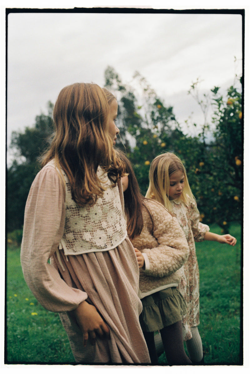Iris Dress Winter Blush