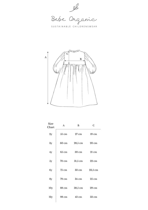 Nyssa Special Dress
