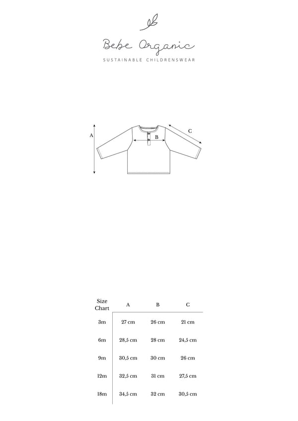Sebastian Baby Shirt
