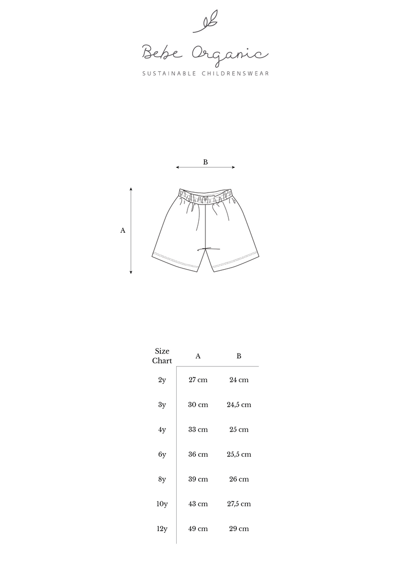 Arthur Shorts-4years