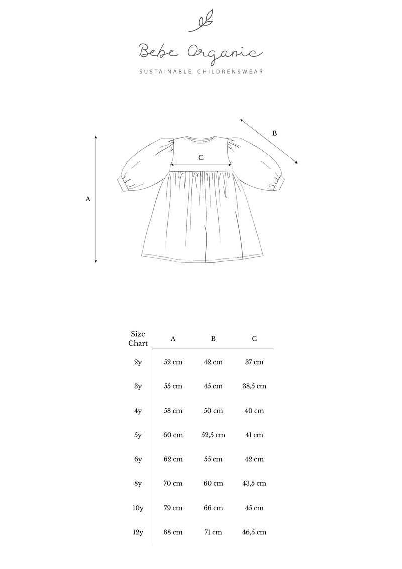 Bernice Dress Winter Blooms